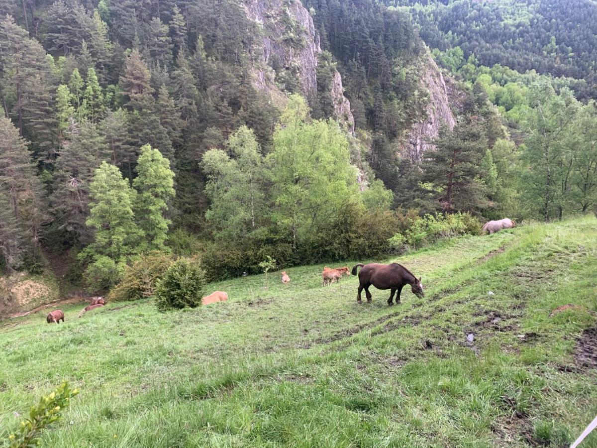 Siscaro - Peu Del Riu 310 - Vall D'Incles - Soldeuアパートメント エクステリア 写真